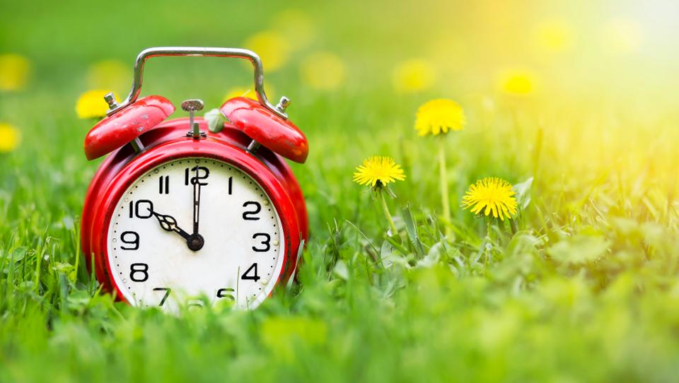red alarm clock on a field of flowers
