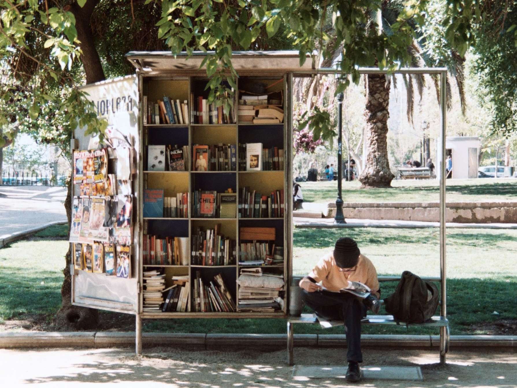 boy reading beside bookshelf in the park