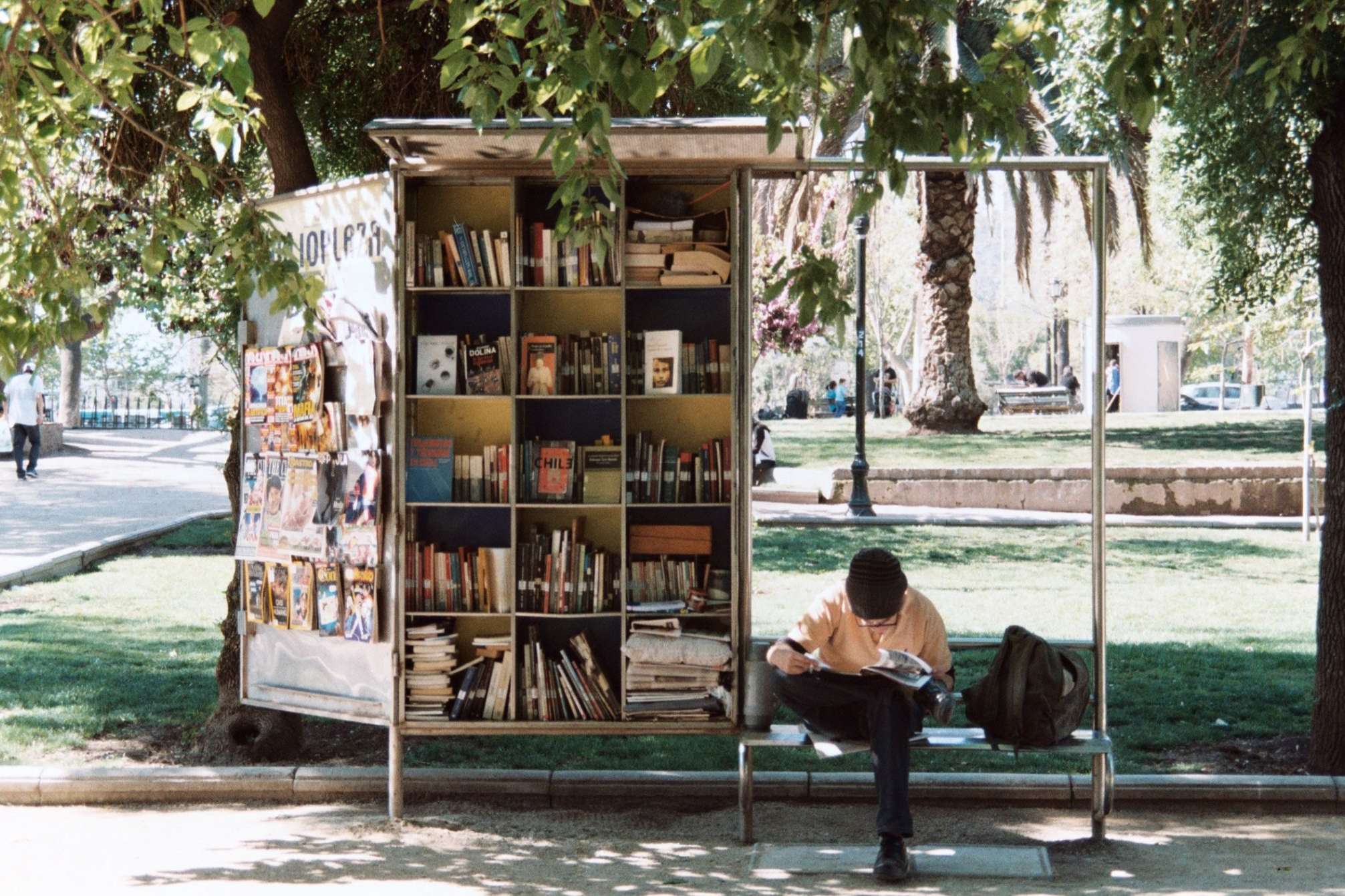 boy reading beside bookshelf in the park