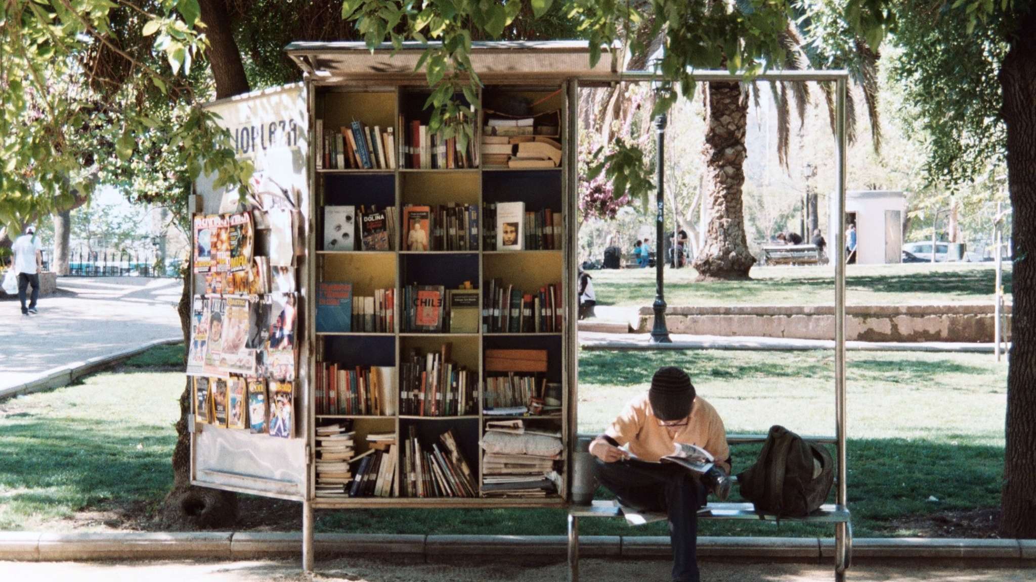 boy reading beside bookshelf in the park