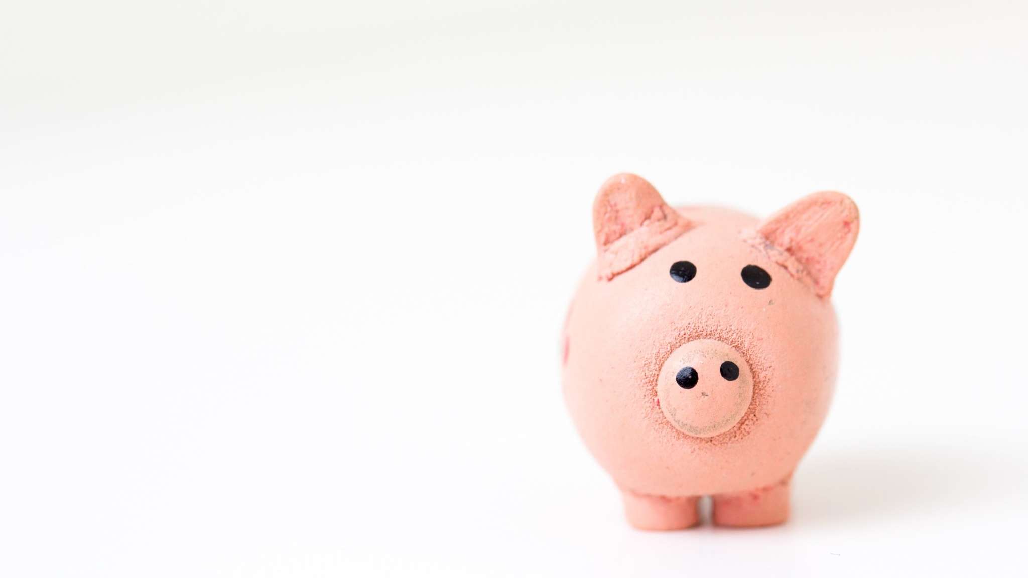 a piggy bank on a white background