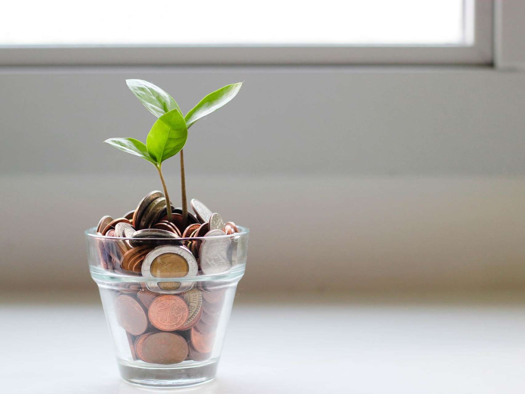 Plant growing out of a glass filled with coins