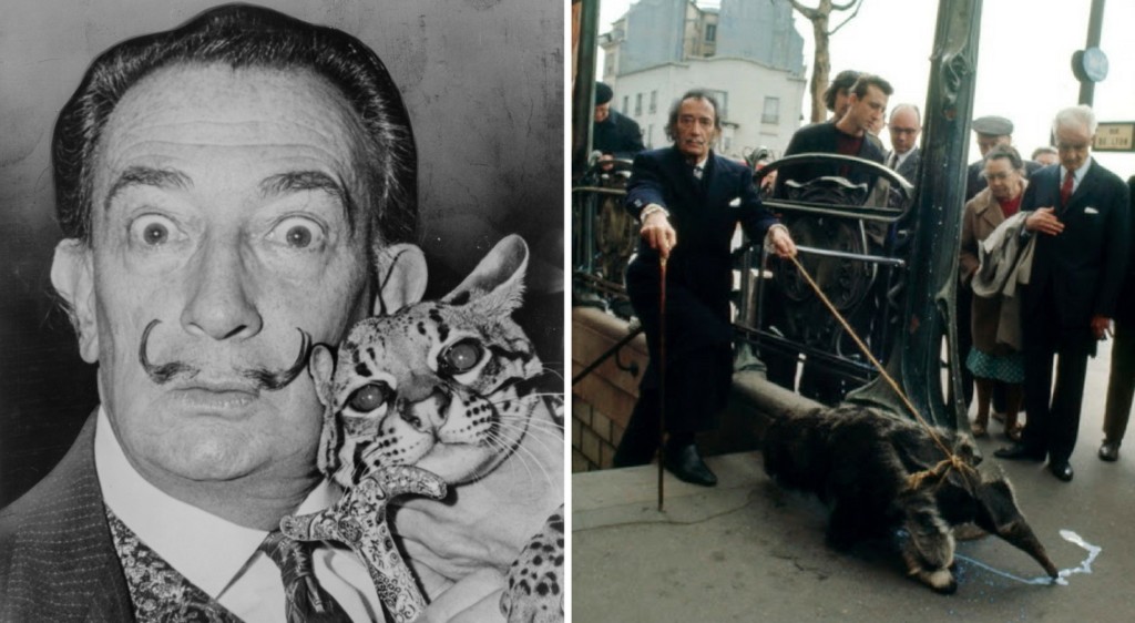 pets in art-dali pets-reelfoto